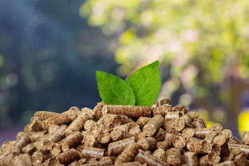 Biomass Energy Image